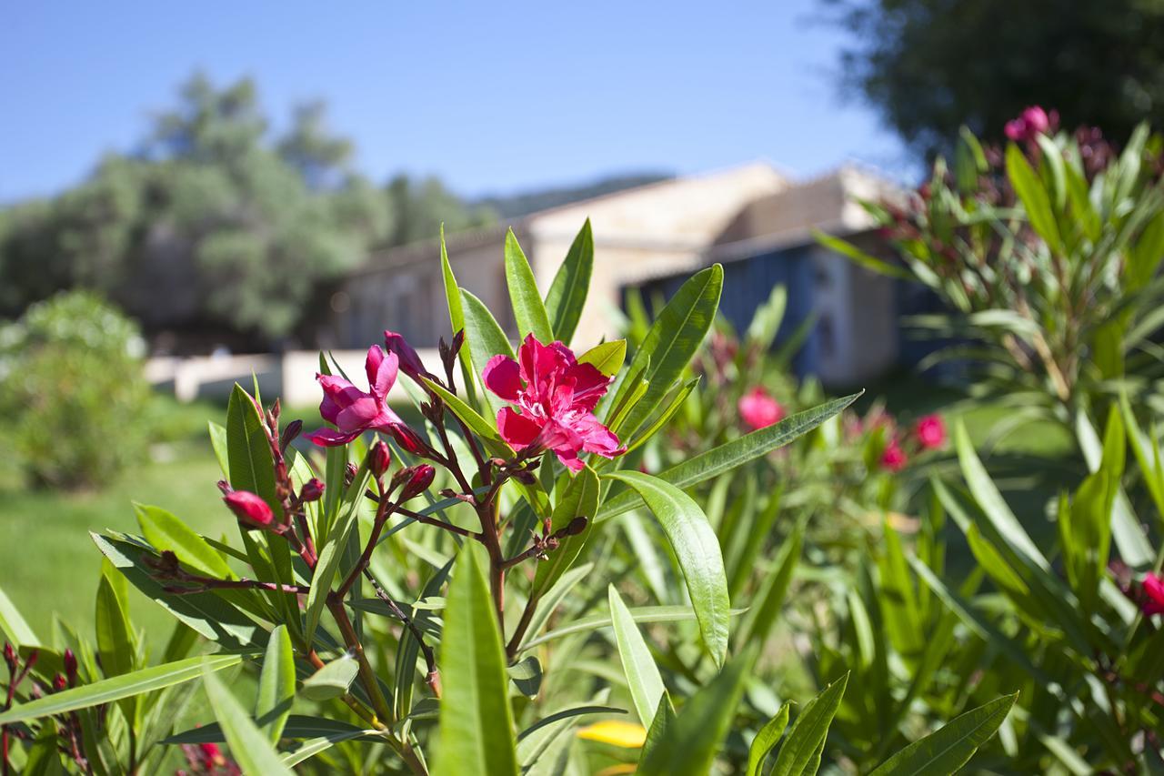 Agroturismo Finca Dalt Murada Binissalem Bagian luar foto